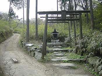 20030504_040_thumb.jpg