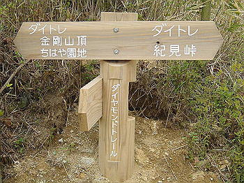 20030504_050_thumb.jpg