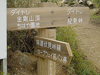 20030504_060_thumb.jpg