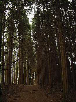 20030504_070_thumb.jpg