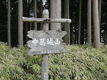 20030504_110_thumb.jpg
