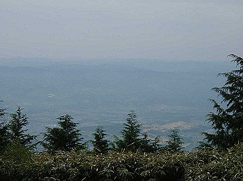 20030504_120_thumb.jpg
