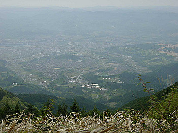 20030504_150_thumb.jpg