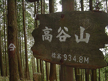 20030504_160_thumb.jpg