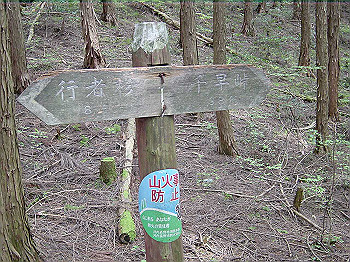 20030504_240_thumb.jpg