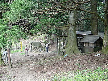 20030504_250_thumb.jpg