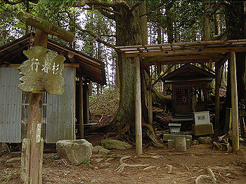 20030504_260_thumb.jpg