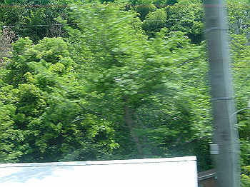 20030504_300_thumb.jpg