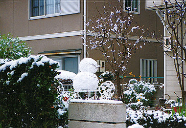20040117_0070_thumb.jpg