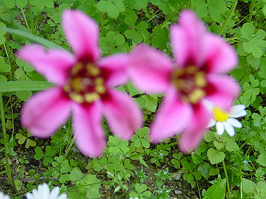 20040418_040_thumb.jpg