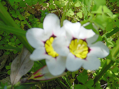 20040418_050_thumb.jpg
