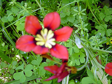 20040418_060_thumb.jpg