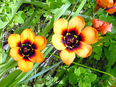 20040418_070_thumb.jpg