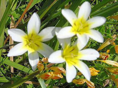 20040418_080_thumb.jpg
