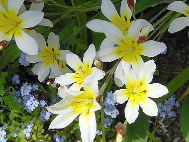 20040418_090_thumb.jpg