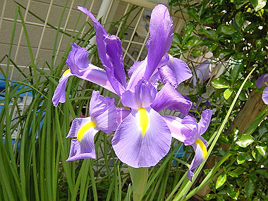 20040418_120_thumb.jpg