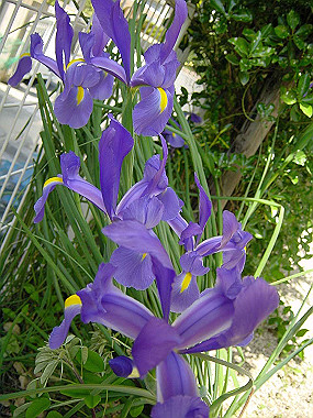 20040418_130_thumb.jpg