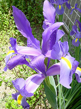 20040418_140_thumb.jpg