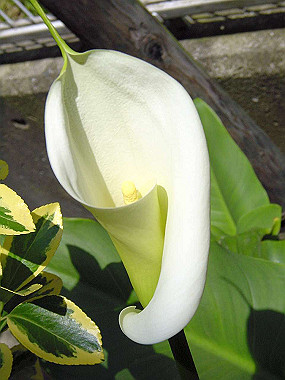 20040418_190_thumb.jpg