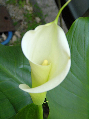 20040418_200_thumb.jpg