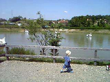 20040605_240_thumb.jpg