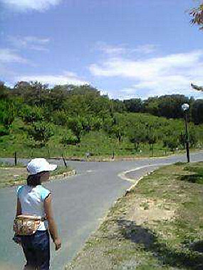 20040605_270_thumb.jpg