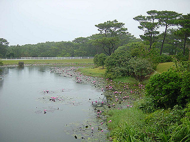 20041227_t015_thumb.jpg