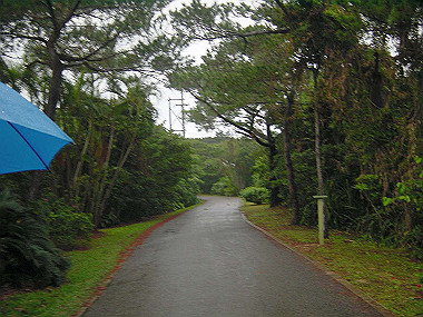 20041227_t095_thumb.jpg