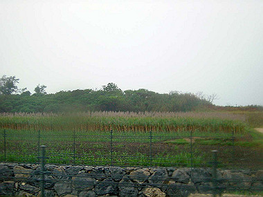20041227_t120_thumb.jpg