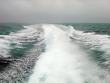 20041227_t125_thumb.jpg