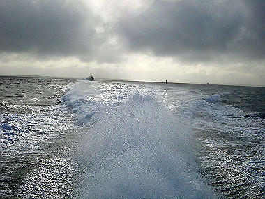 20041227_t155_thumb.jpg