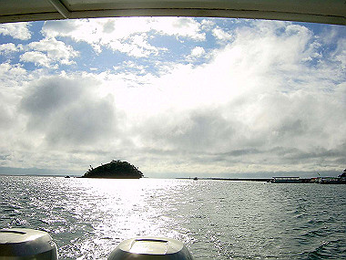 20041227_t180_thumb.jpg