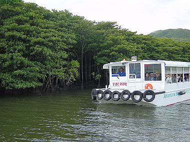 20041227_t265_thumb.jpg