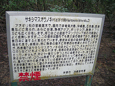 20041227_t315_thumb.jpg