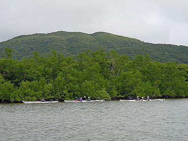 20041227_t340_thumb.jpg