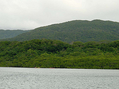 20041227_t350_thumb.jpg