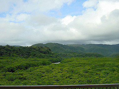20041227_t375_thumb.jpg