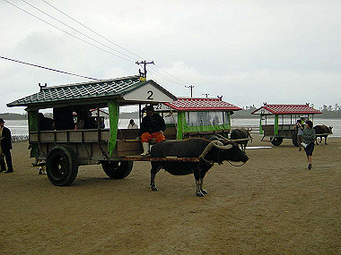 20041227_t445_thumb.jpg