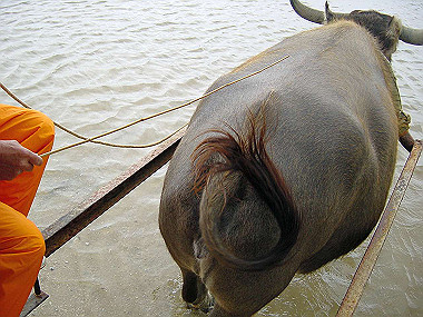 20041227_t460_thumb.jpg