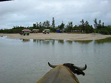20041227_t475_thumb.jpg
