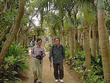 20041227_t545_thumb.jpg