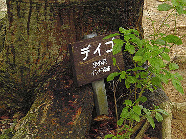 20041227_t555_thumb.jpg