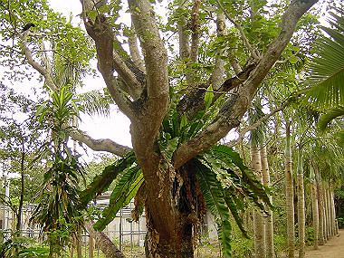 20041227_t560_thumb.jpg