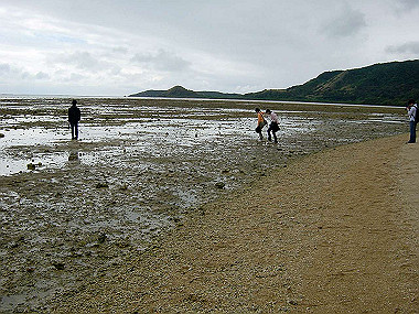 20041227_t600_thumb.jpg