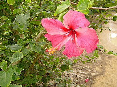 20041227_t665_thumb.jpg