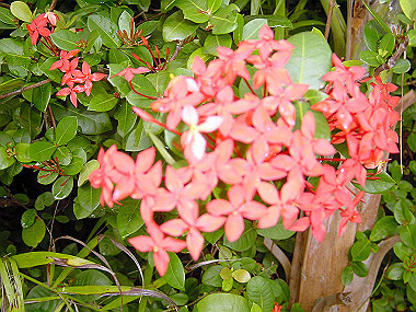 20041227_t670_thumb.jpg