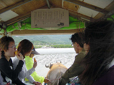 20041227_t705_thumb.jpg