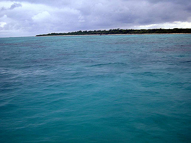 20041227_t745_thumb.jpg