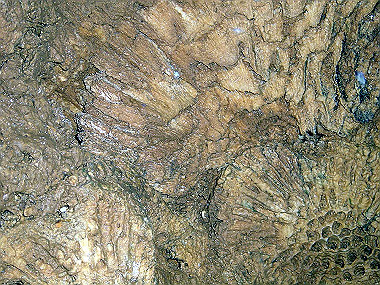 20041227_t780_thumb.jpg