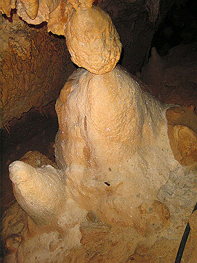 20041227_t800_thumb.jpg